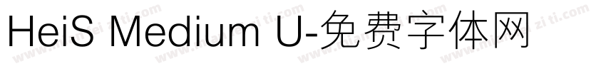 HeiS Medium U字体转换